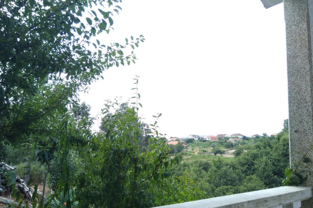 Photo of Others in Castro Daire