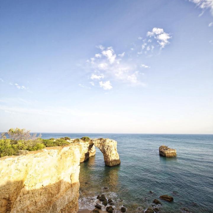 Photo of Others in Lagoa e Carvoeiro