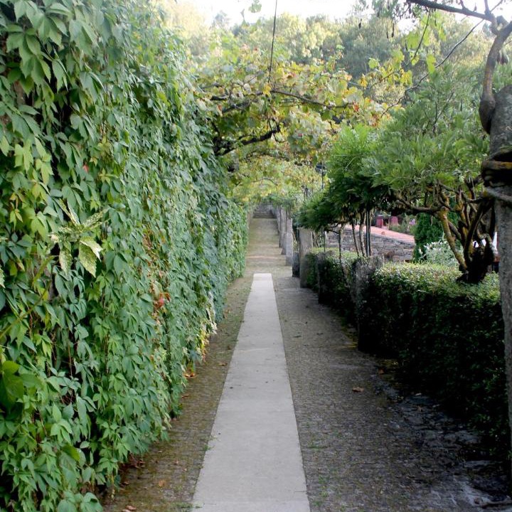 Photo of Others in Chaves