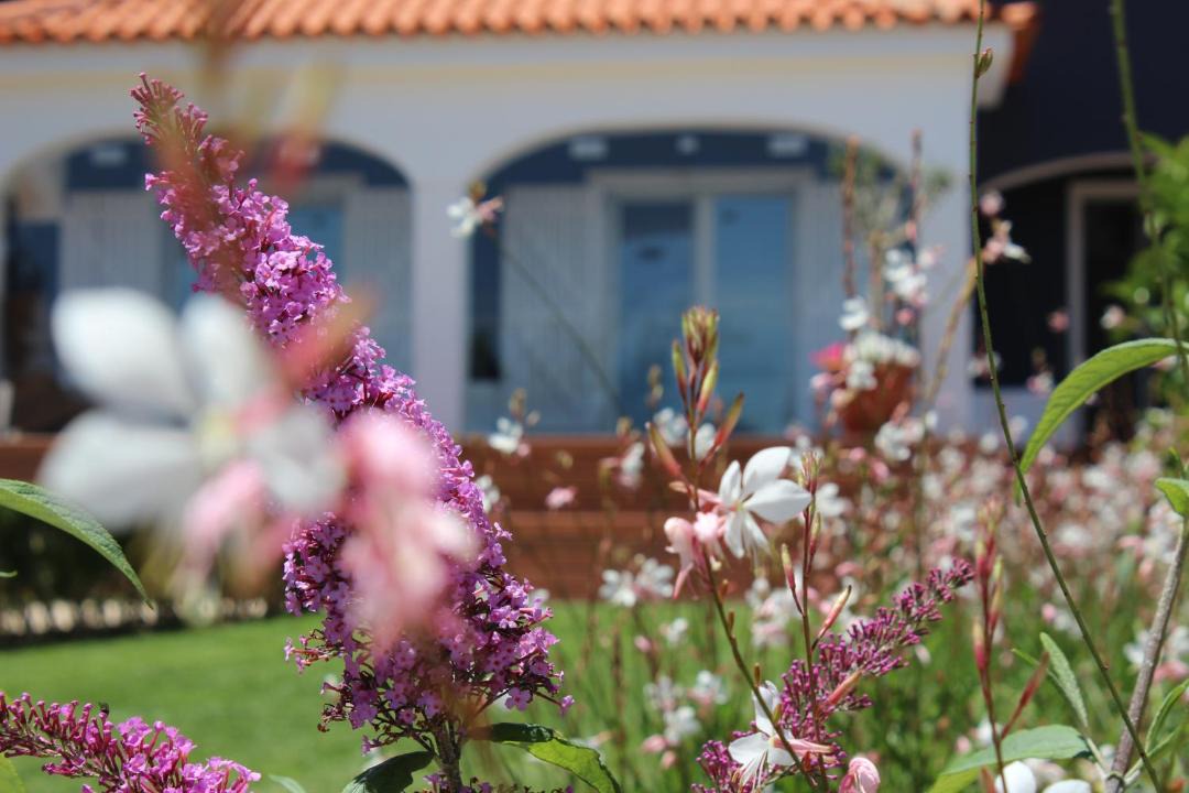Photo of Others in Sintra
