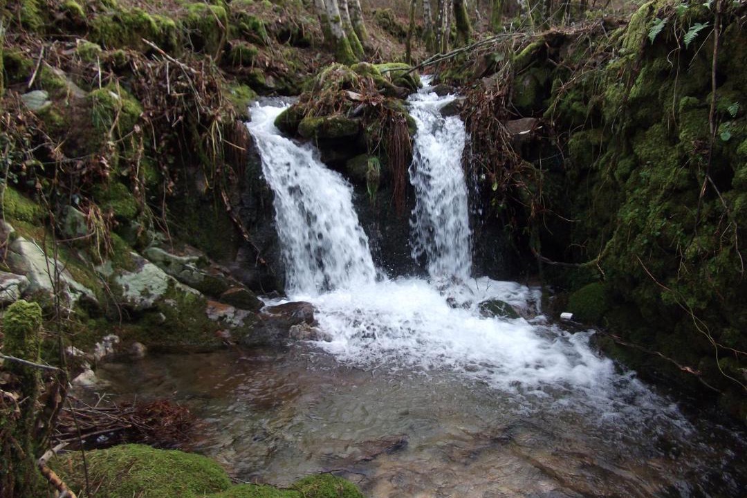 Photo of Others in Oliveira de Frades