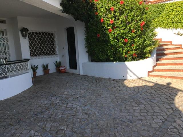Photo of Others in Vale Formoso