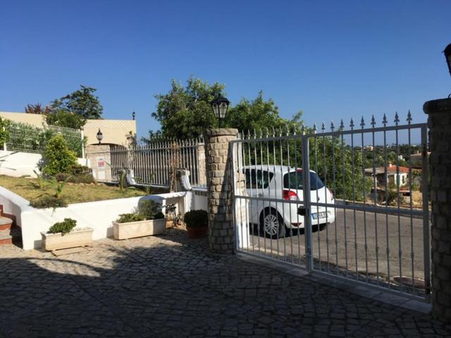 Photo of Others in Vale Formoso