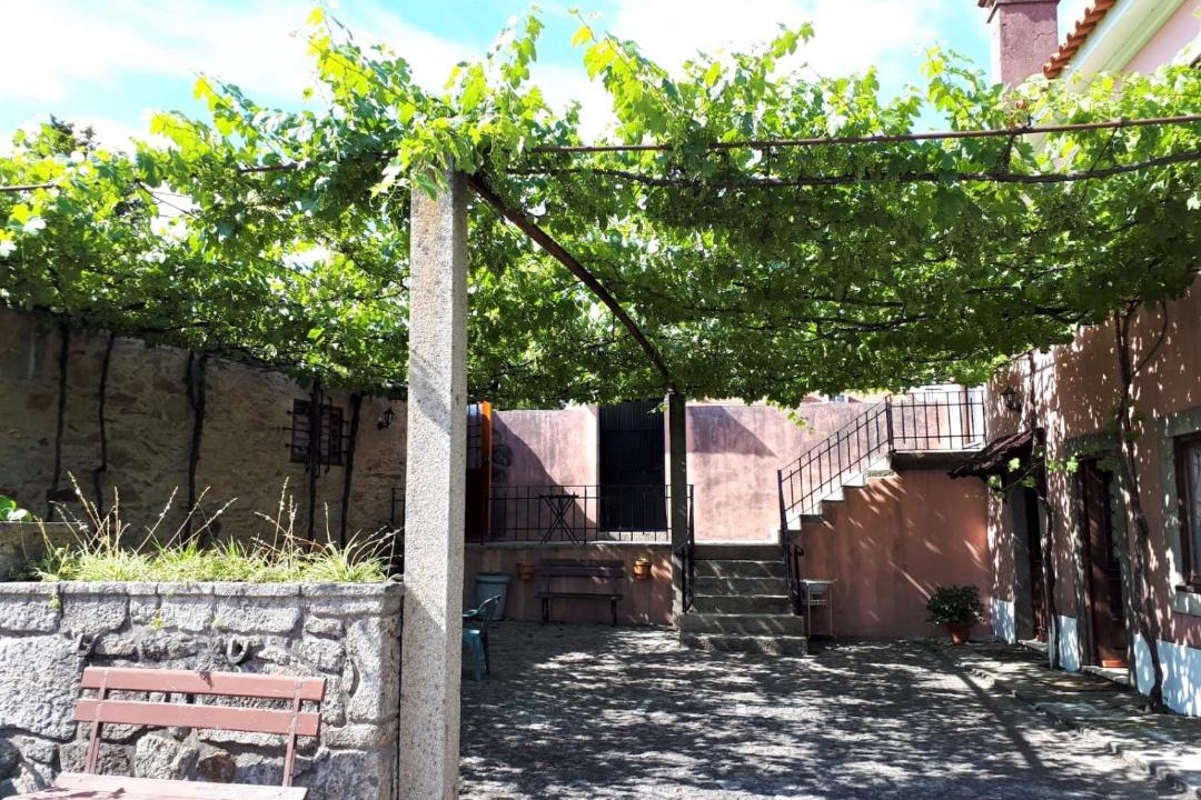 Photo of Others in Oliveira De Azemeis