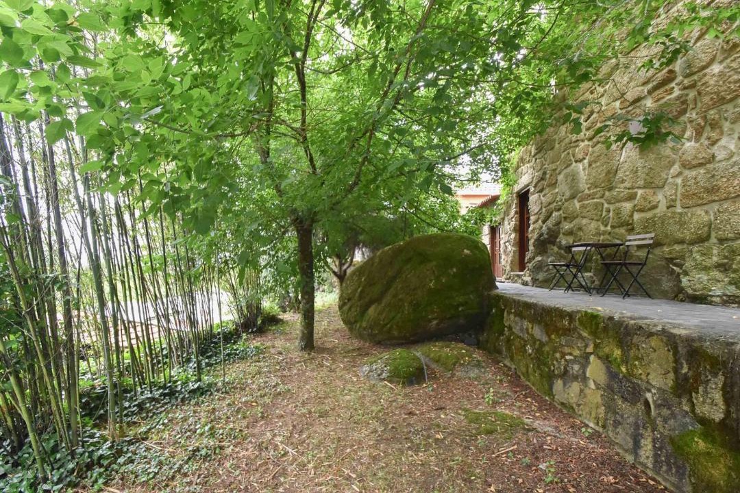 Photo of Others in Penafiel