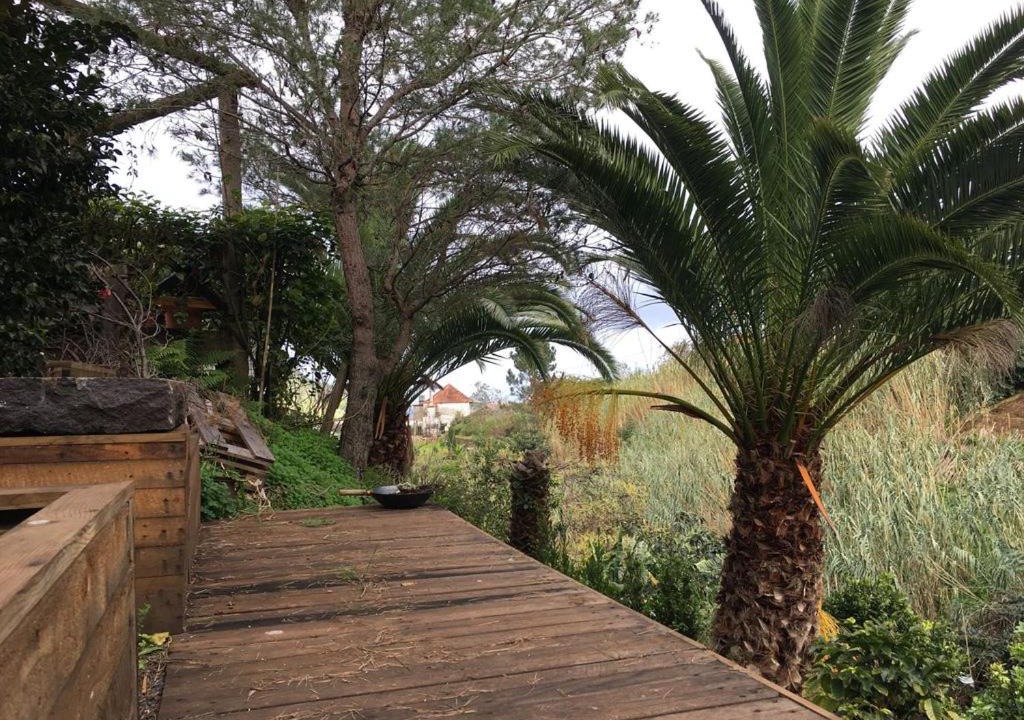 Photo of Others in Porto da Cruz