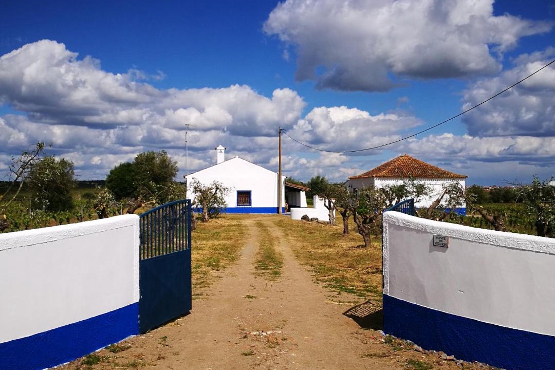 Photo of Others in Reguengos de Monsaraz