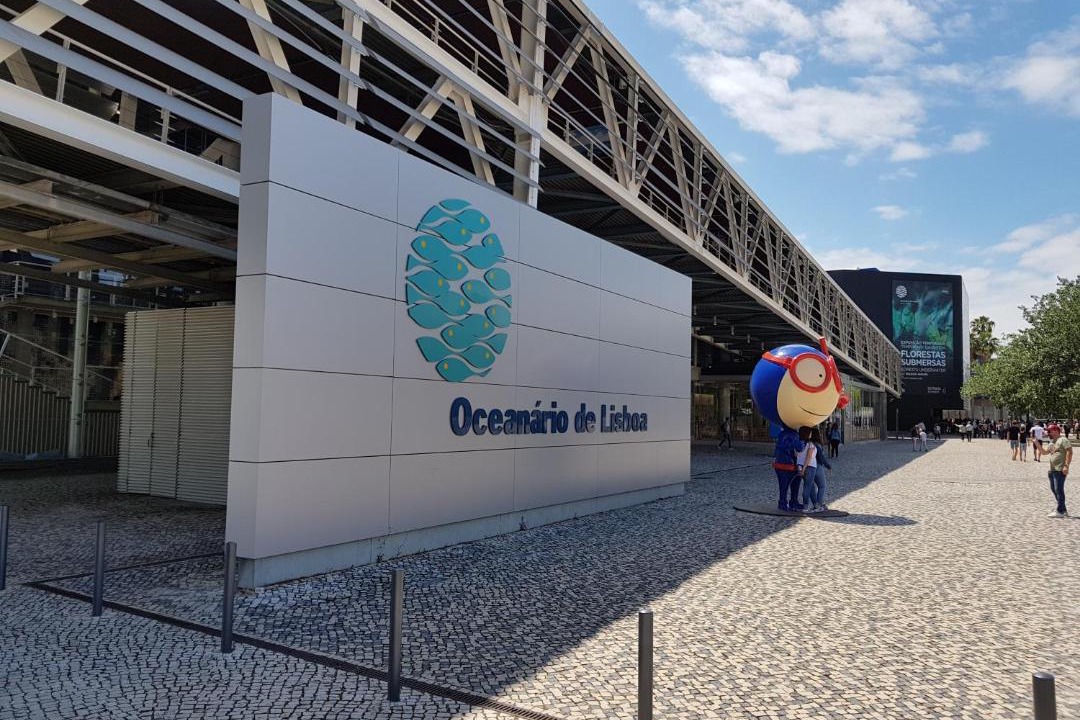 Photo of Others in Parque das Nacoes