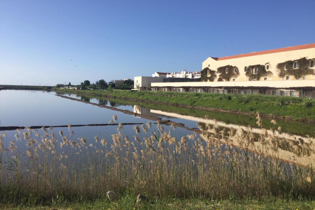 Photo of Others in Tavira