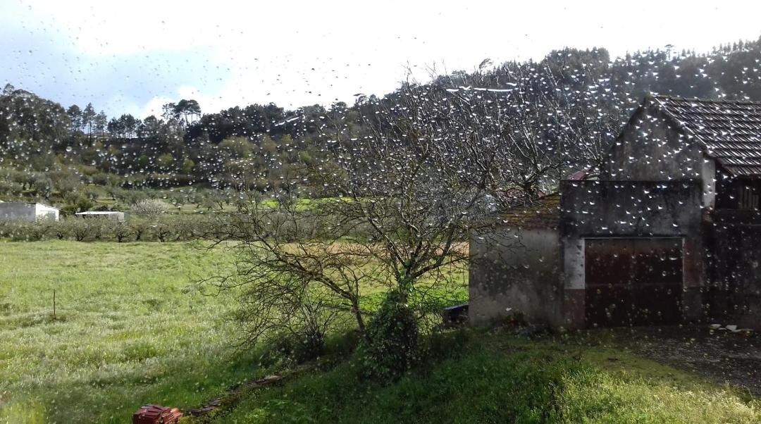 Photo of Others in Ourem