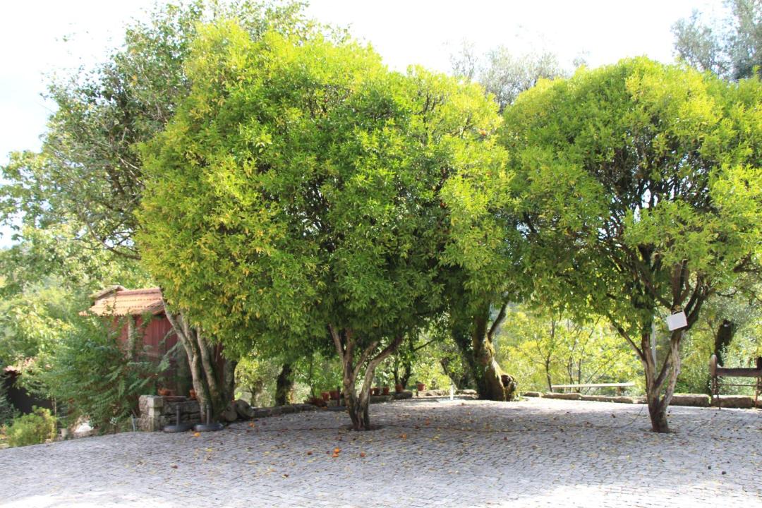 Photo of Others in Povoa de Lanhoso
