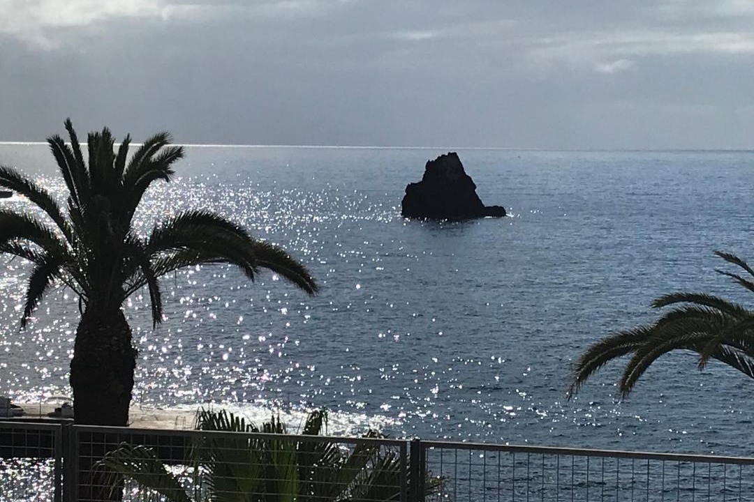 Photo of Others in Sao Martinho
