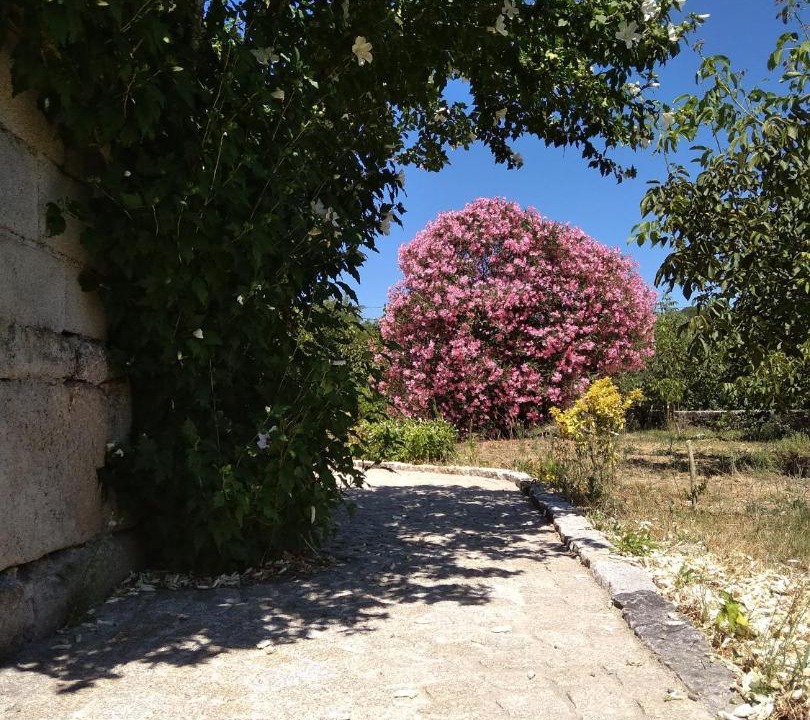 Photo of Others in Viseu