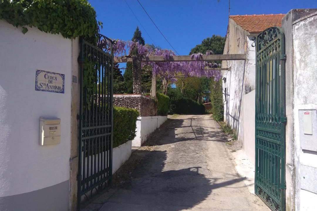 Photo of Others in Torres Novas