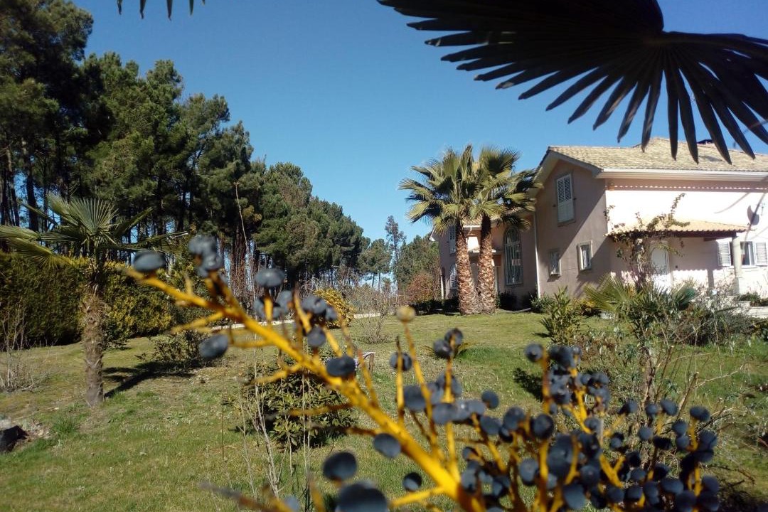 Photo of Others in Mangualde