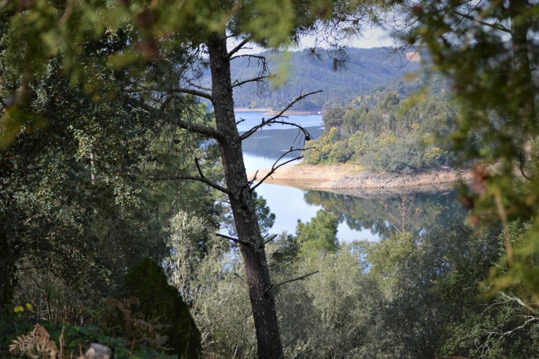 Photo of Others in Abrantes