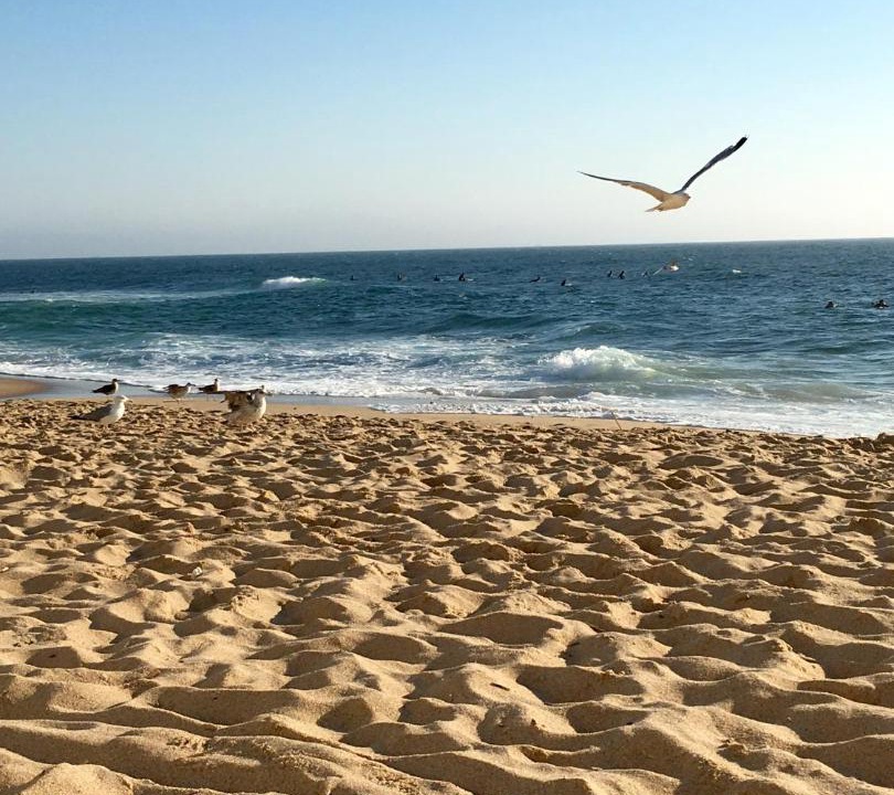 Photo of Outdoor in Ericeira