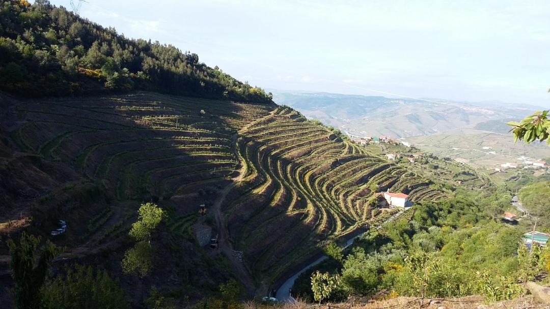 Photo of Others in Lamego