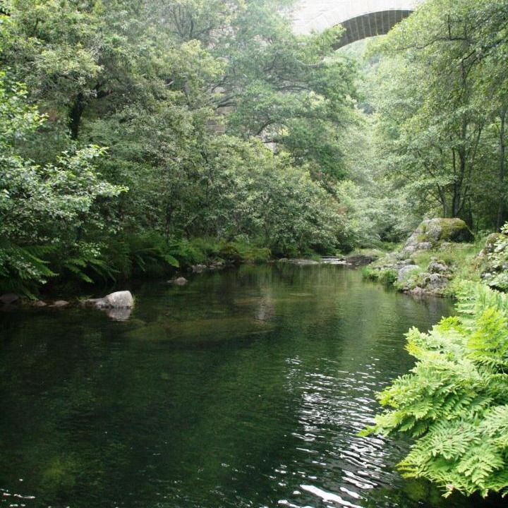 Photo of Outdoor in Cabril