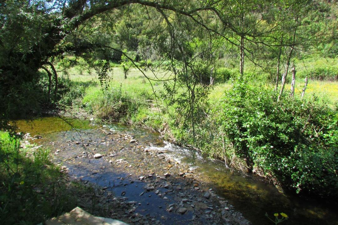 Photo of Others in Monchique
