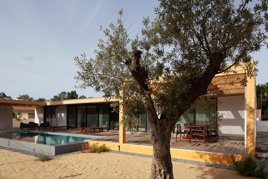 Photo of Buildings in Troia