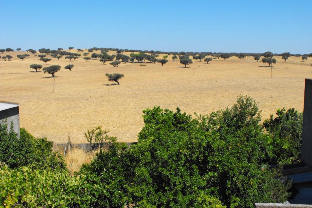 Photo of Others in Campo Maior