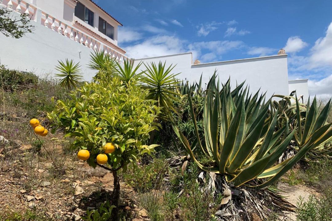 Photo of Others in Conceicao