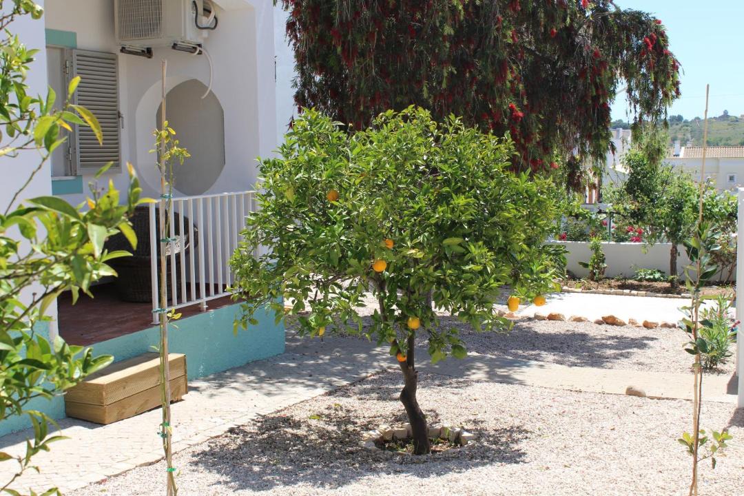 Photo of Others in Espiche