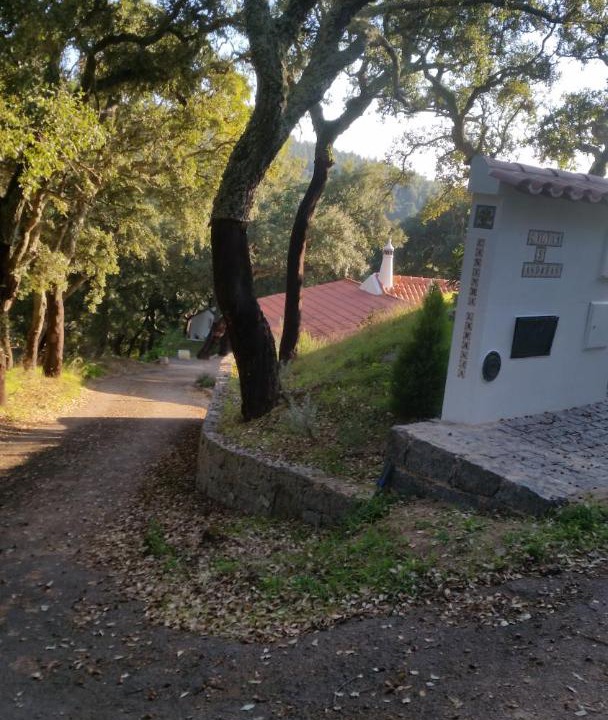 Photo of Others in Marmelete