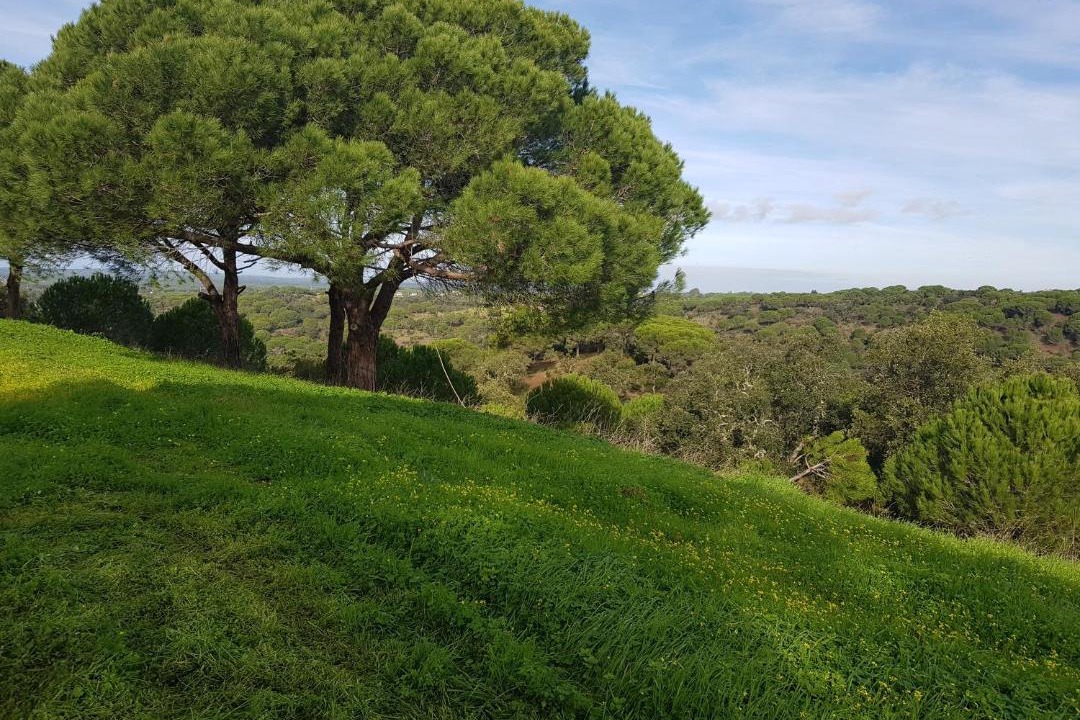 Photo of Outdoor in Melides