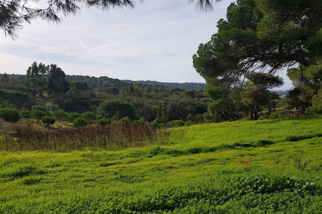 Photo of Outdoor in Melides