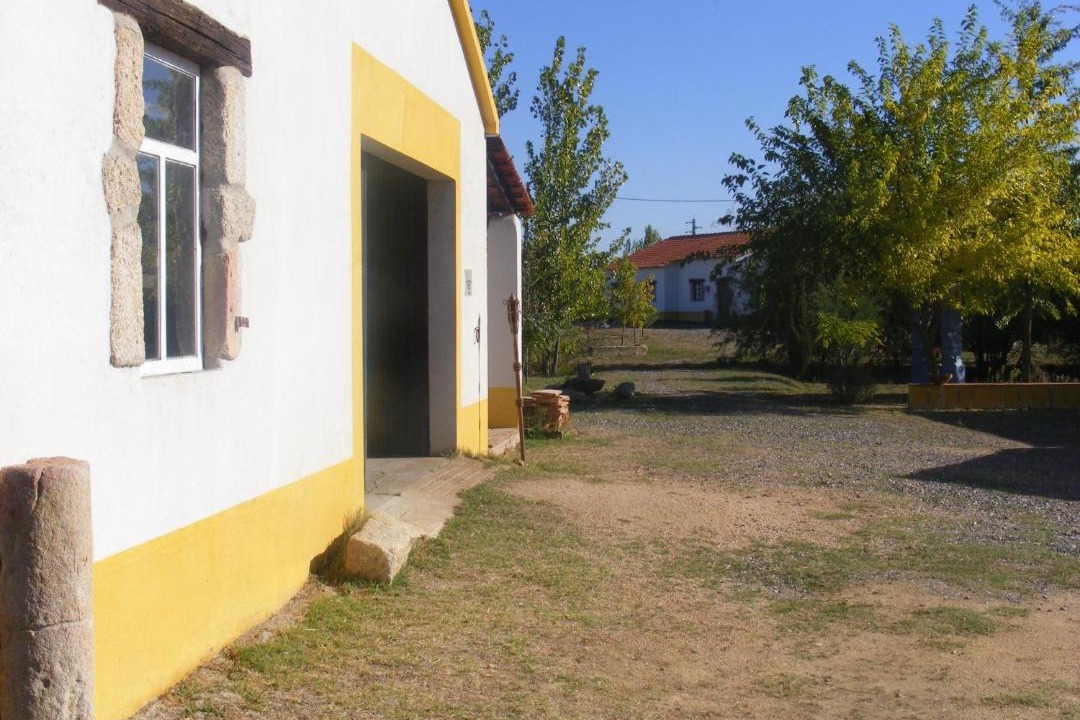 Photo of Others in Cegonhas