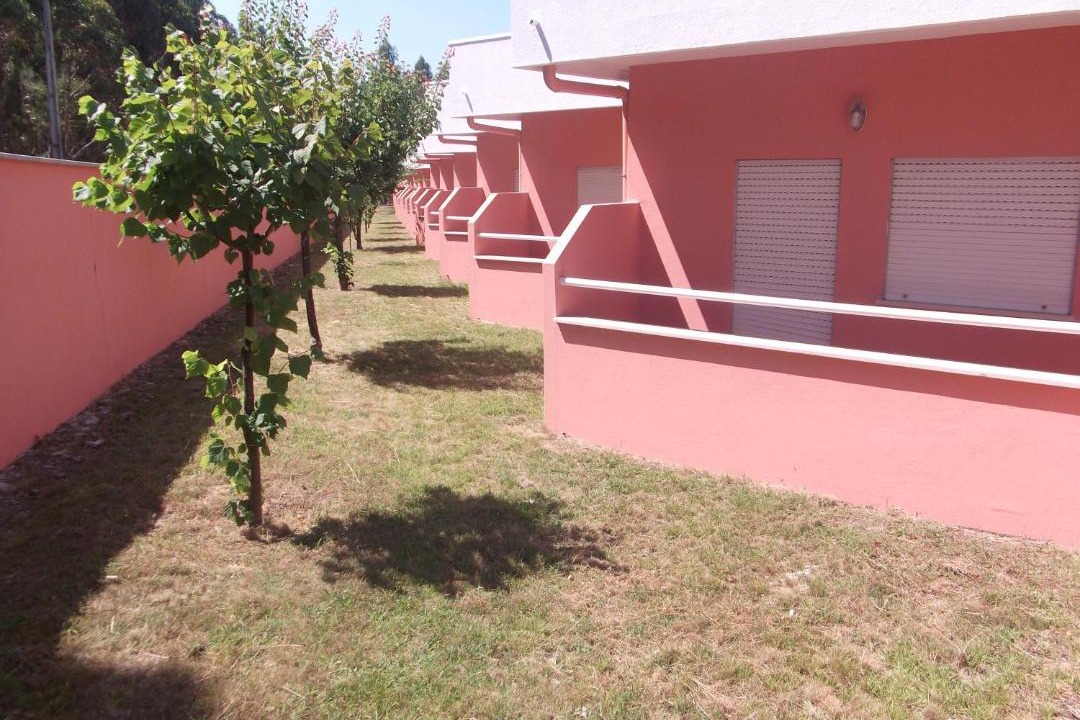 Photo of Others in Albergaria-a-Velha
