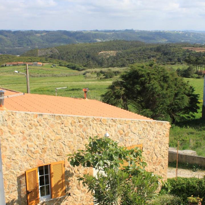 Photo of Others in Serra da Pescaria