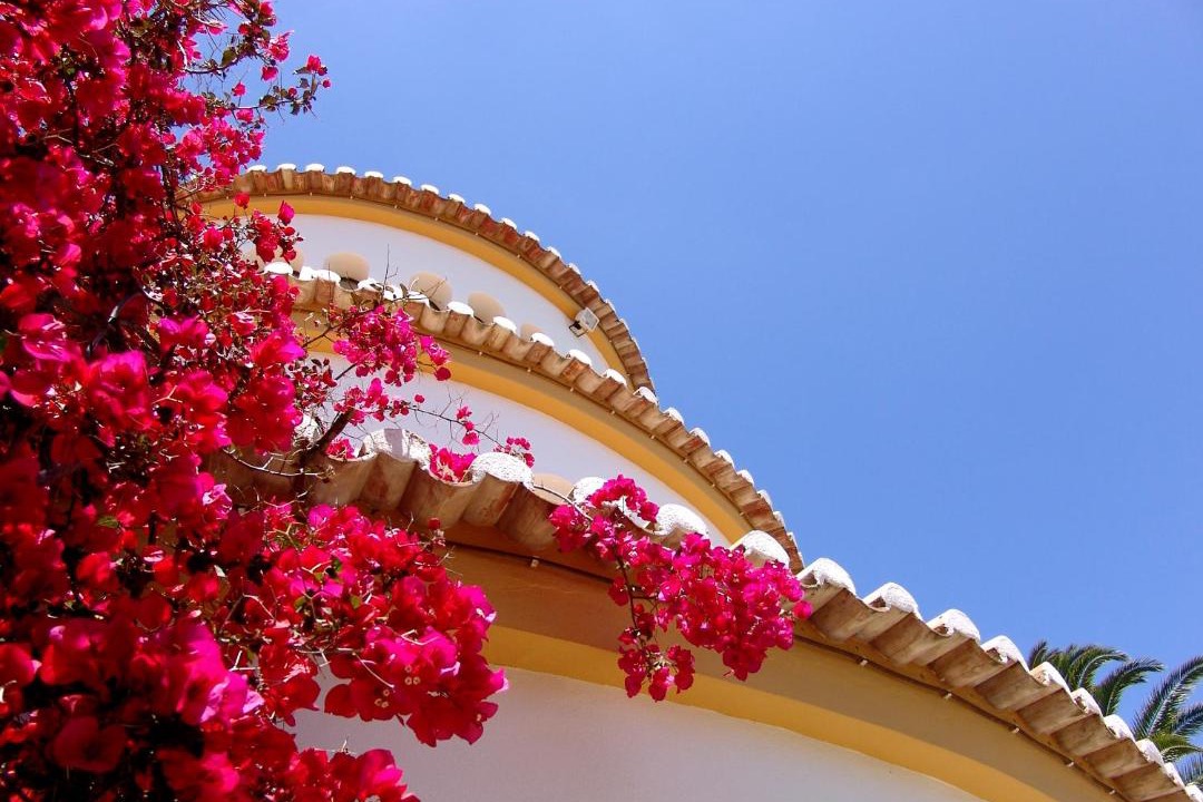 Photo of Others in Ferragudo