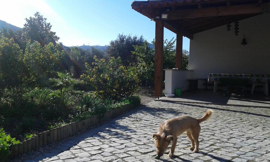 Photo of Others in Camparca