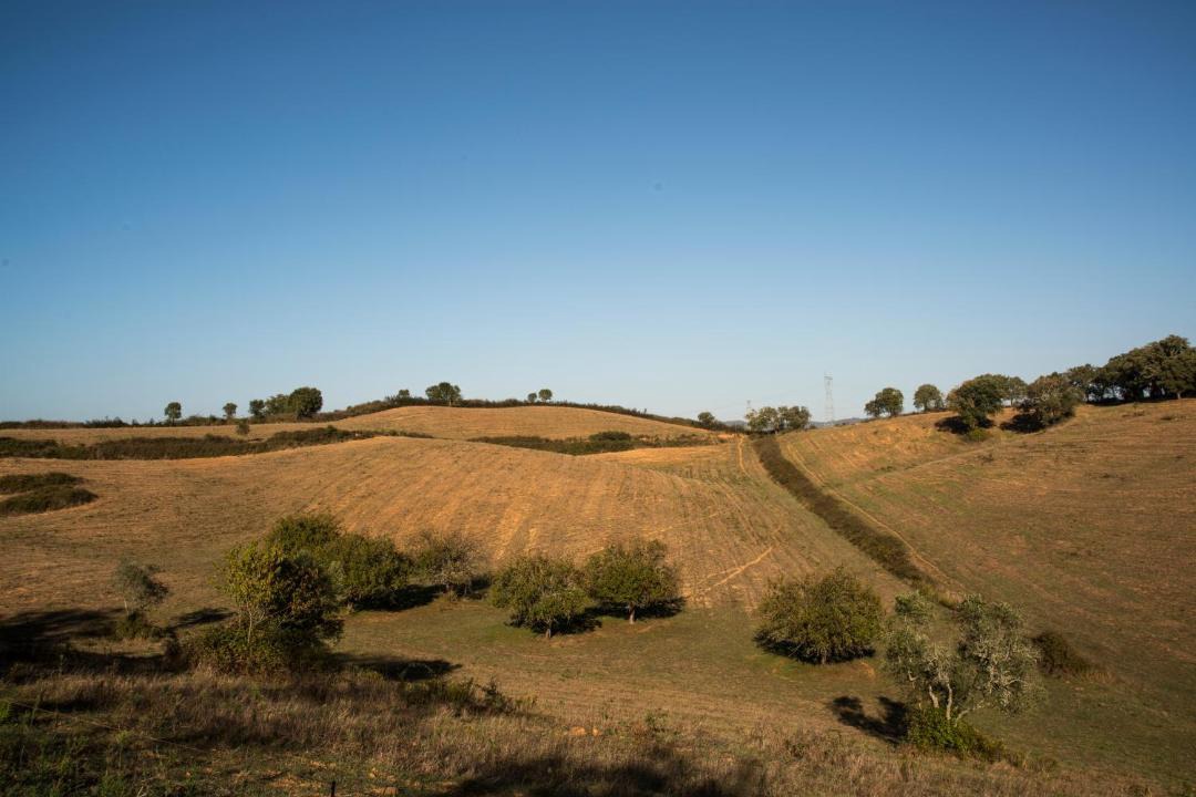 Photo of Others in Sao Luis