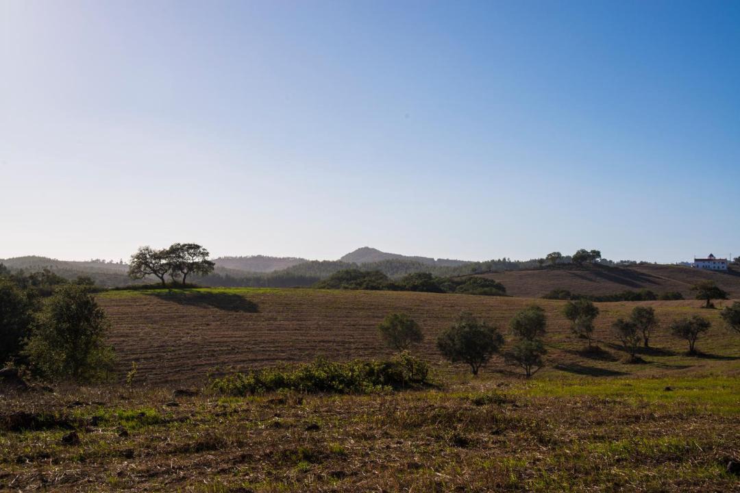 Photo of Others in Sao Luis