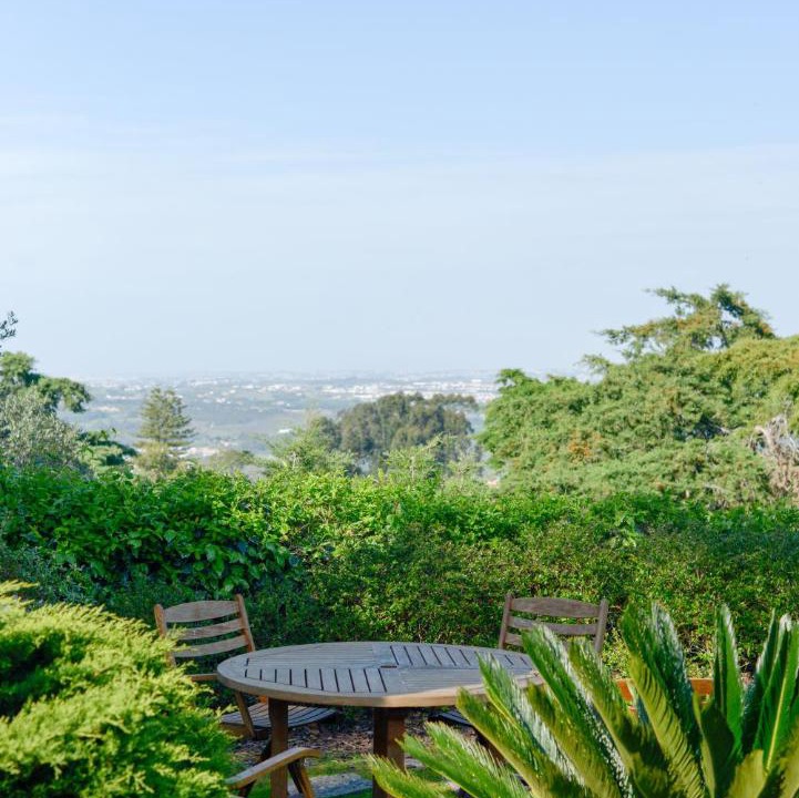 Photo of Others in Sintra