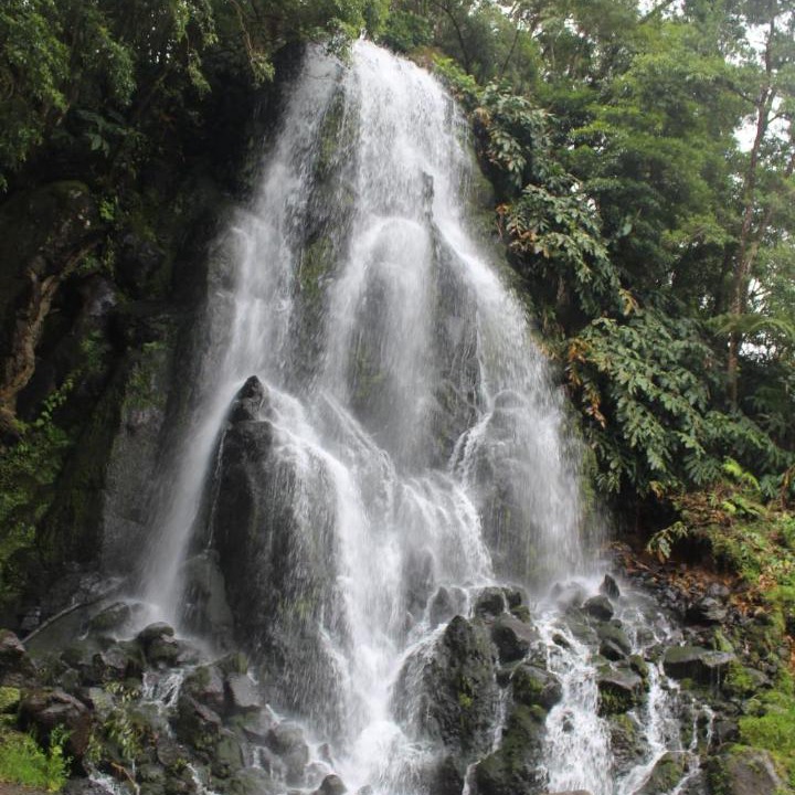 Photo of Others in Nordeste