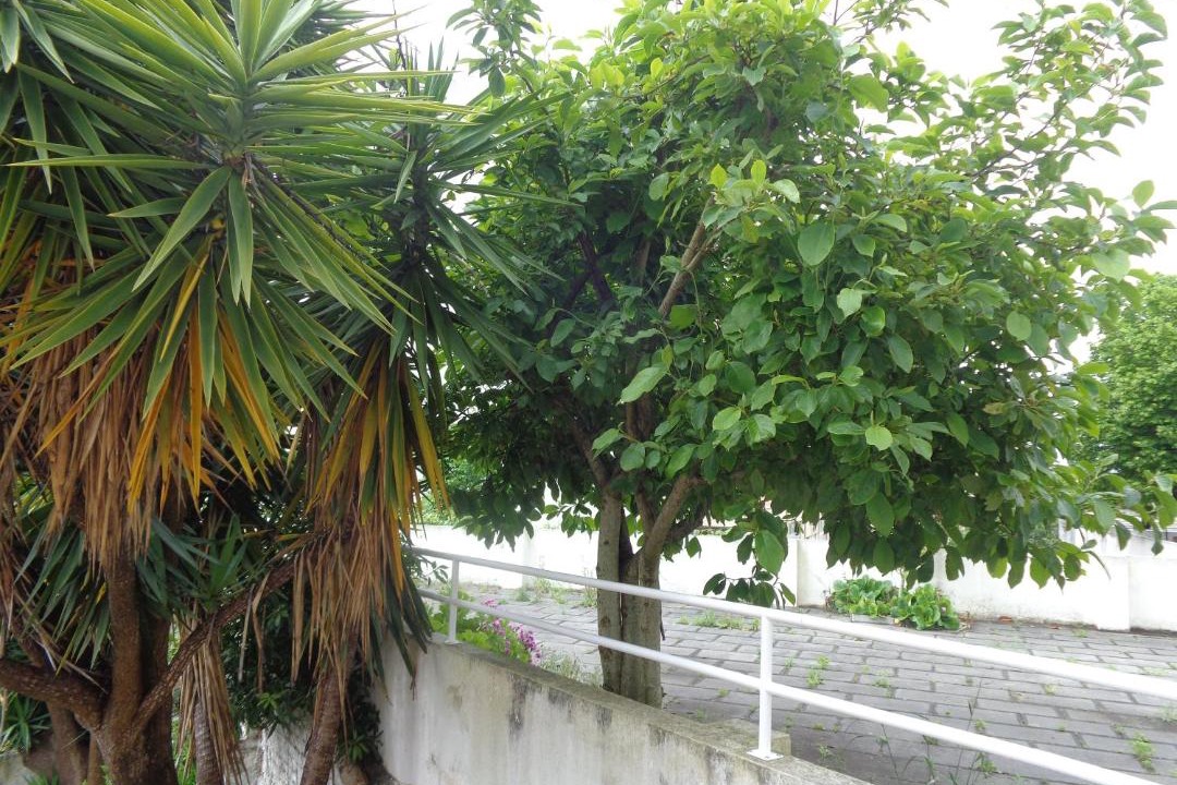 Photo of Others in Se Nova