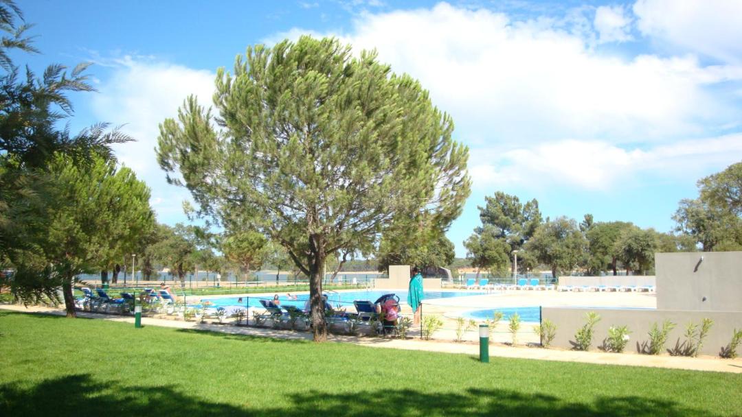 Photo of Others in Ponte de Sor