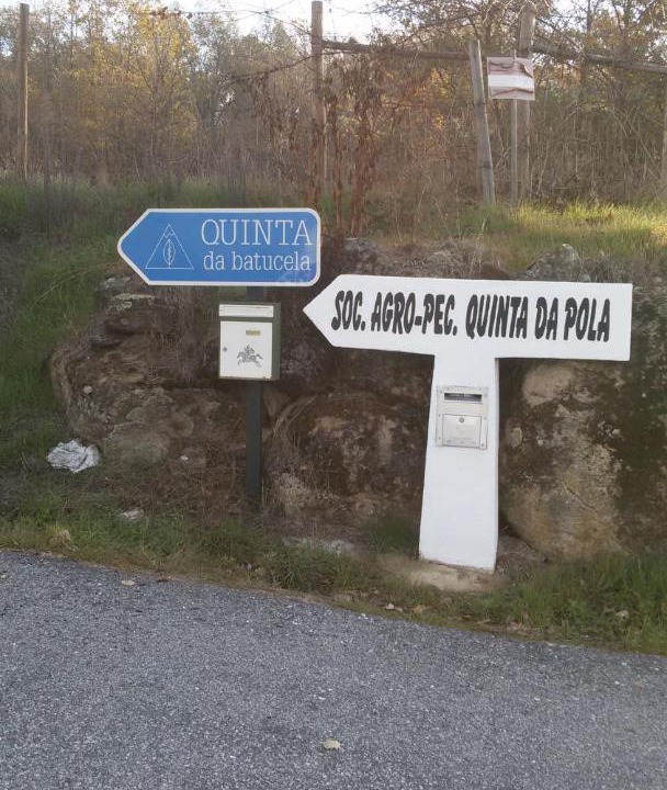 Photo of Others in Alcaria