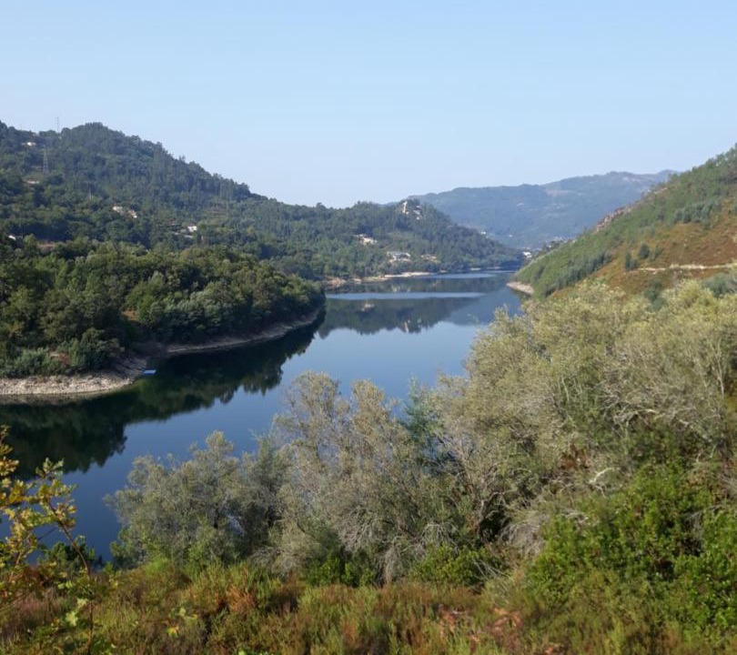 Photo of Others in Cova