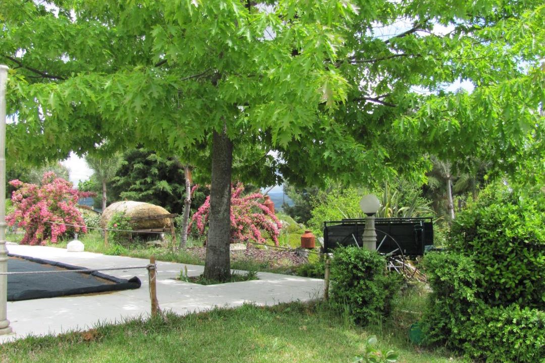 Photo of Others in Vale Formoso