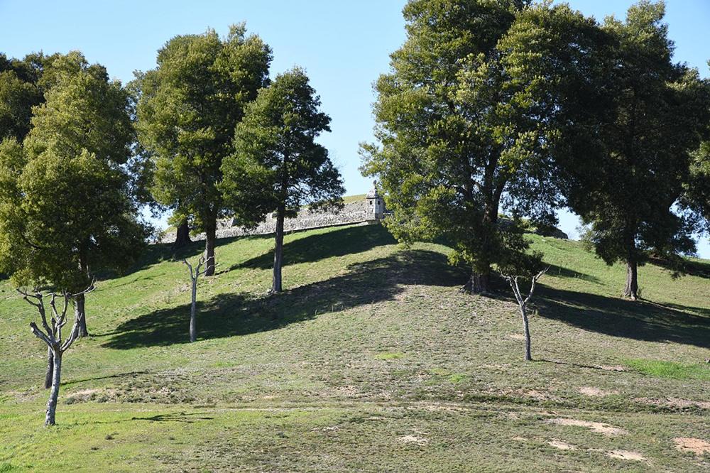 Photo of Others in Valenca