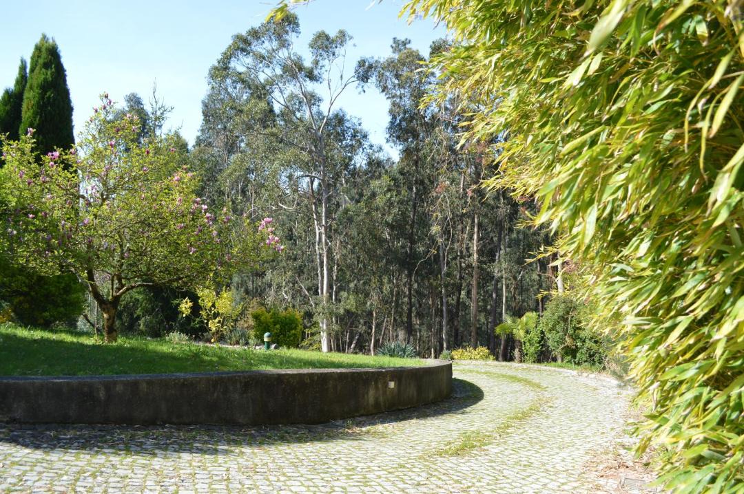 Photo of Others in Agueda