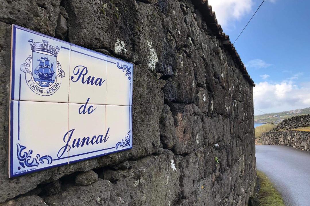 Photo of Others in Sao Caetano