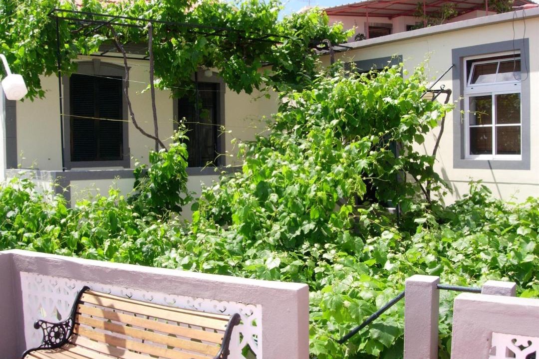Photo of Buildings in Tabua