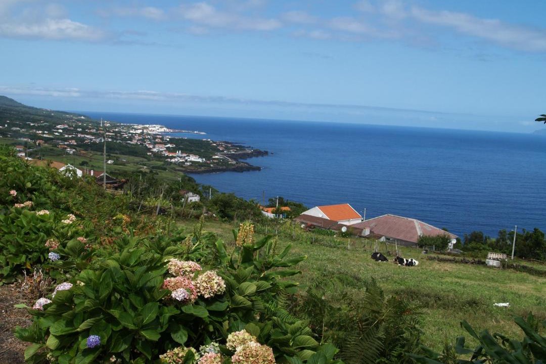 Photo of Others in Sao Roque do Pico